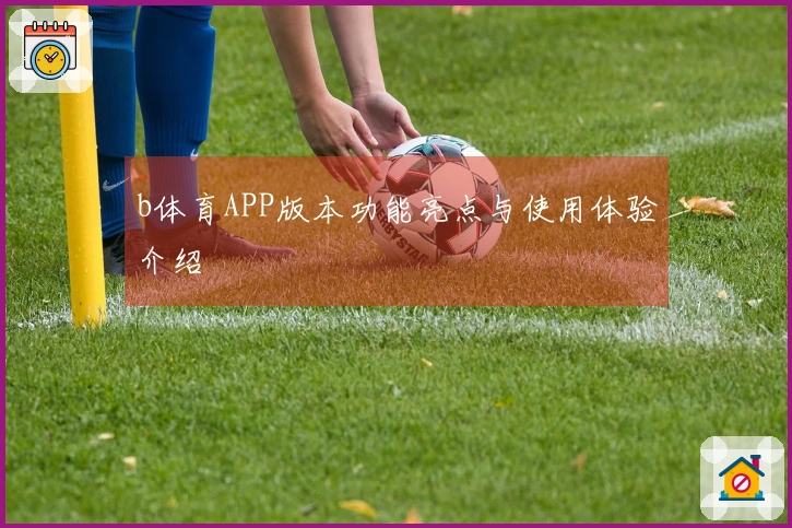 b体育APP版本功能亮点与使用体验介绍