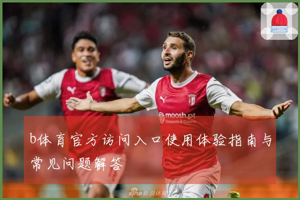 b体育官方访问入口使用体验指南与常见问题解答