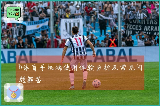 b体育手机端使用体验分析及常见问题解答
