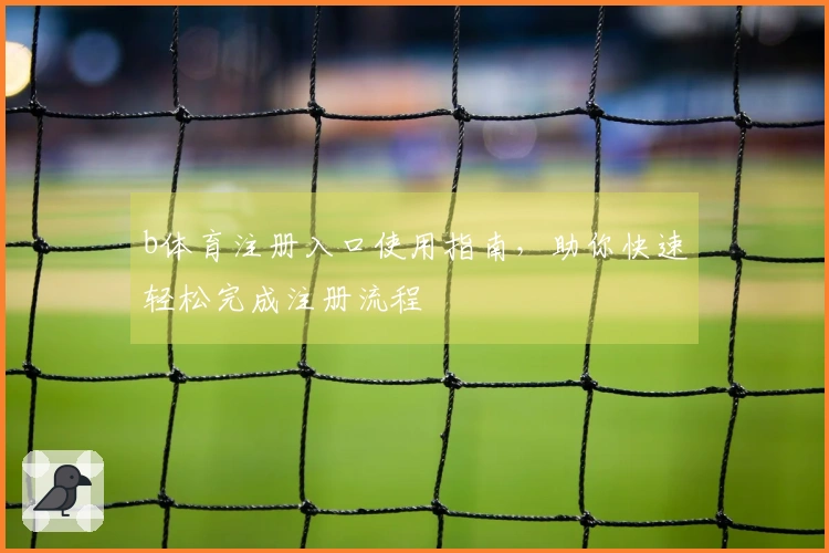 b体育注册入口使用指南，助你快速轻松完成注册流程