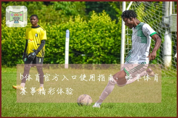b体育官方入口使用指南，畅享体育赛事精彩体验