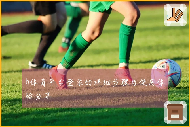 b体育平台登录的详细步骤与使用体验分享